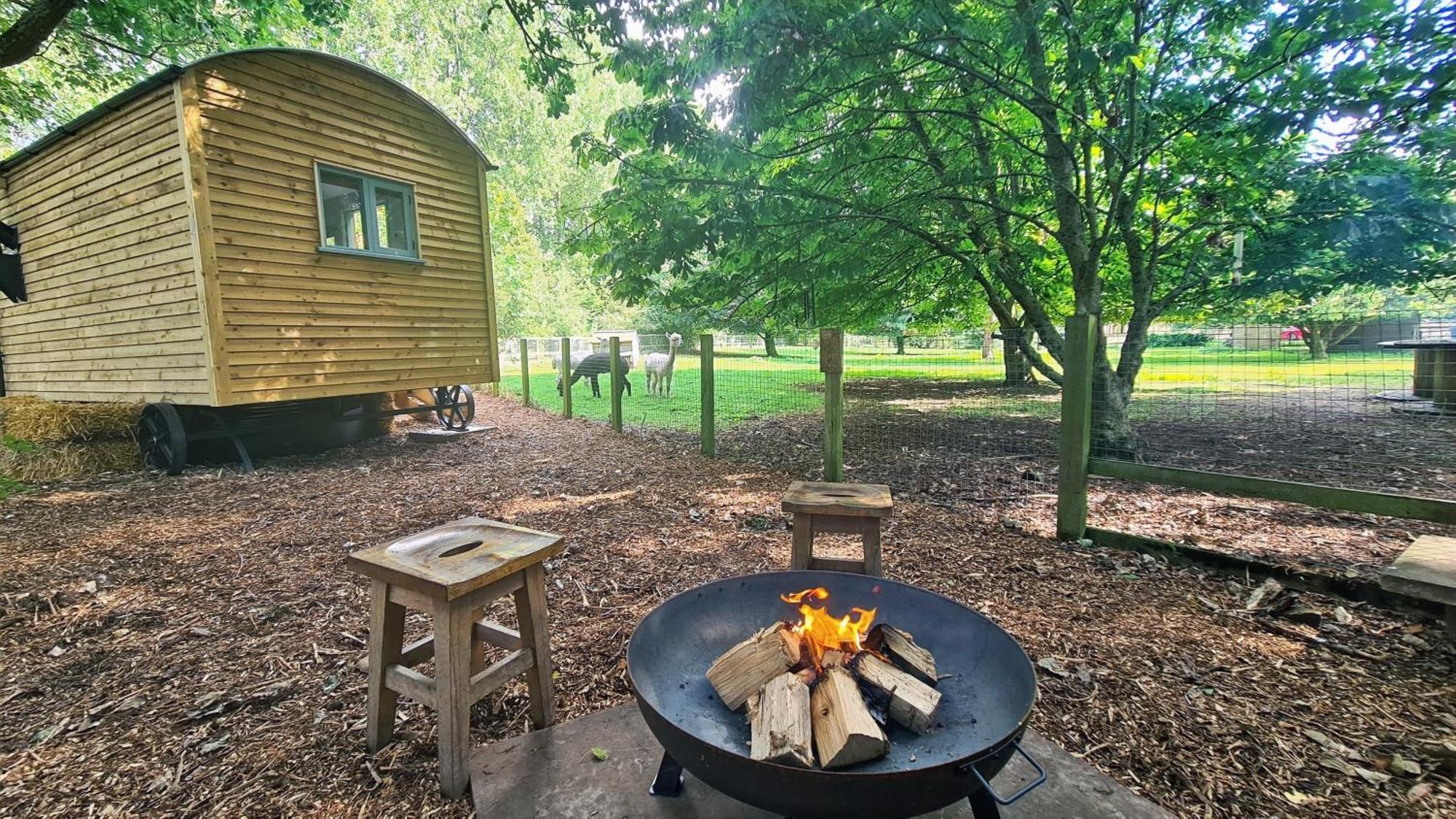 Hotel Horsley Hale Farm Glamping Ely Zimmer foto